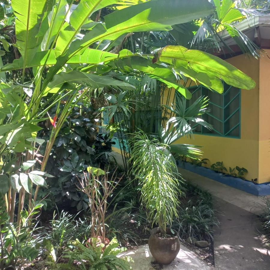 Cabinas Guarana Puerto Viejo de Talamanca Exterior foto